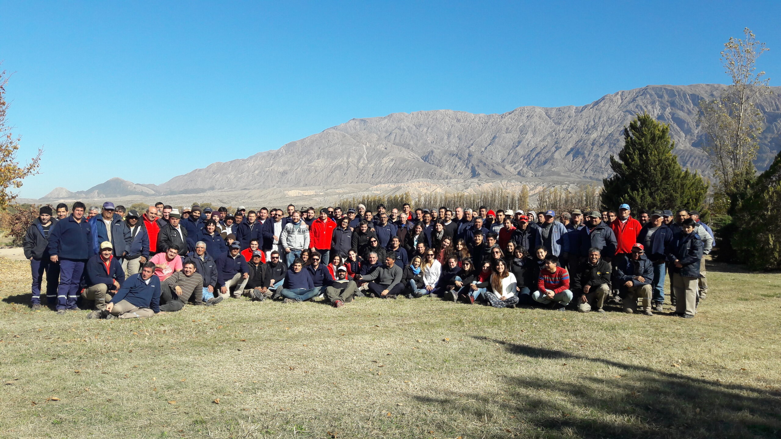 Más de 480 empleados participaron de la 8° edición del Responsib'ALL Day