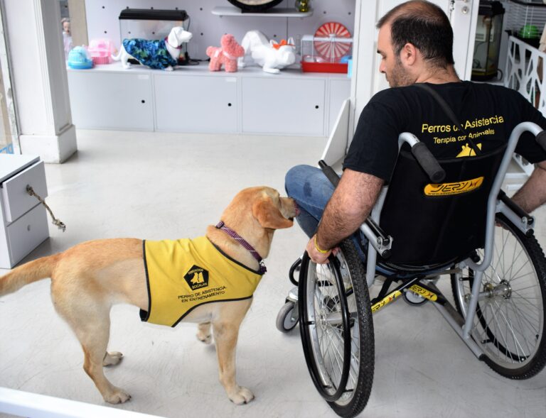 Cuarta edición del Programa de Entrenamiento de Perros de Asistencia