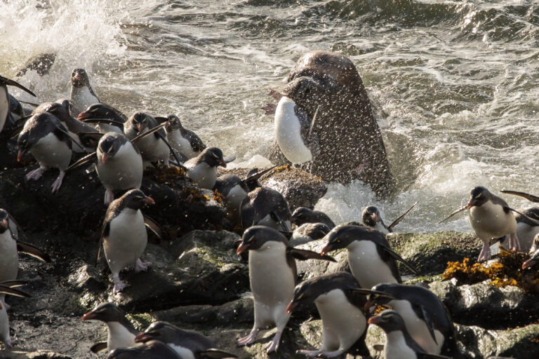 National Geographic estrena el documental “Yaganes”