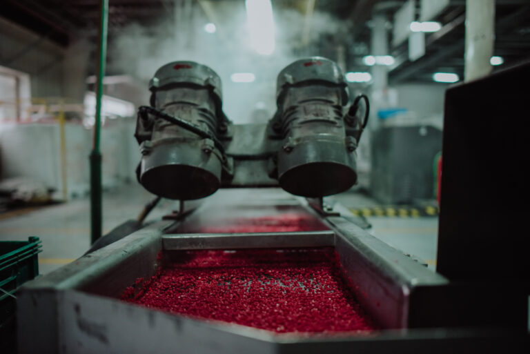 Reconvirtiendo el impacto ambiental en Tierra Del Fuego