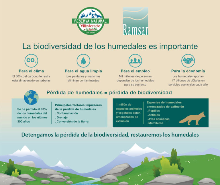 La Reserva Natural de Villavicencio protege y conserva 42 humedales de relevancia internacional
