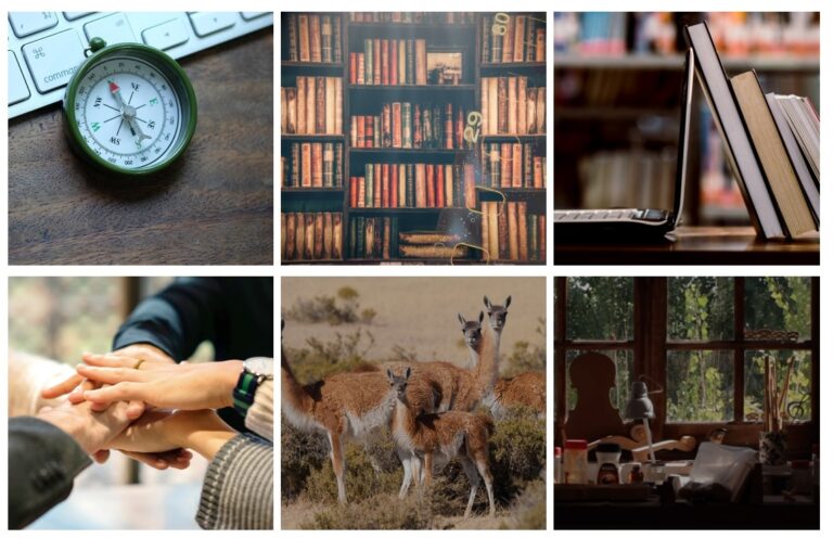 Fundaciones Grupo Petersen promueve sus contenidos virtuales