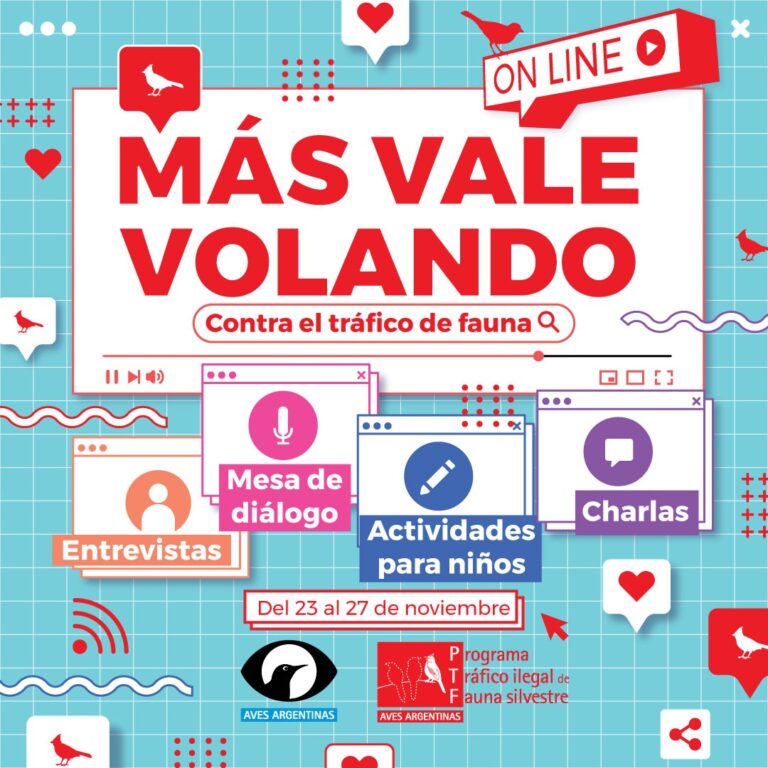 “Más Vale Volando” Festival contra el tráfico ilegal de fauna silvestre