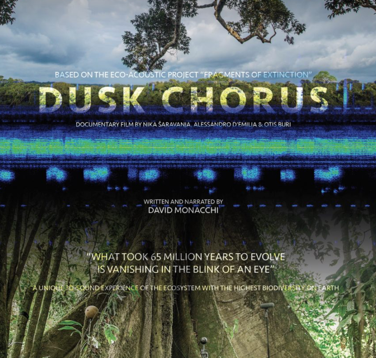 Proyección de la multipremiada película "Dusk Chorus"
