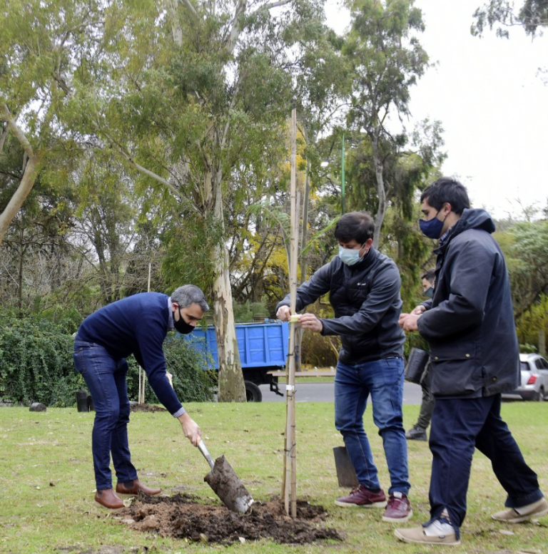 Con la plantación de 150 árboles, se busca enriquecer el cordón verde en el paseo del bosque en La Plata