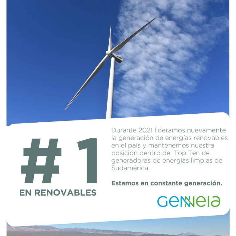 Genneia y su liderazgo en energías renovables