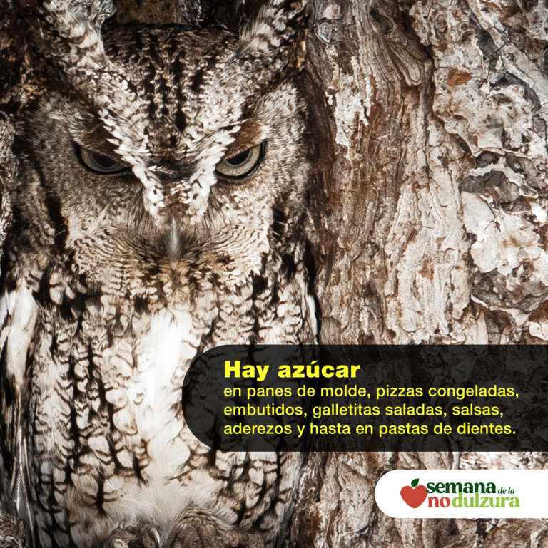 Se celebra la cuarta Edición de la Semana de la No Dulzura