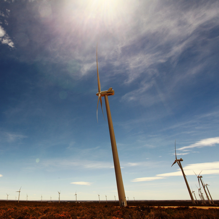 Genneia neutralizó su huella de carbono administrativa por cuarto año consecutivo