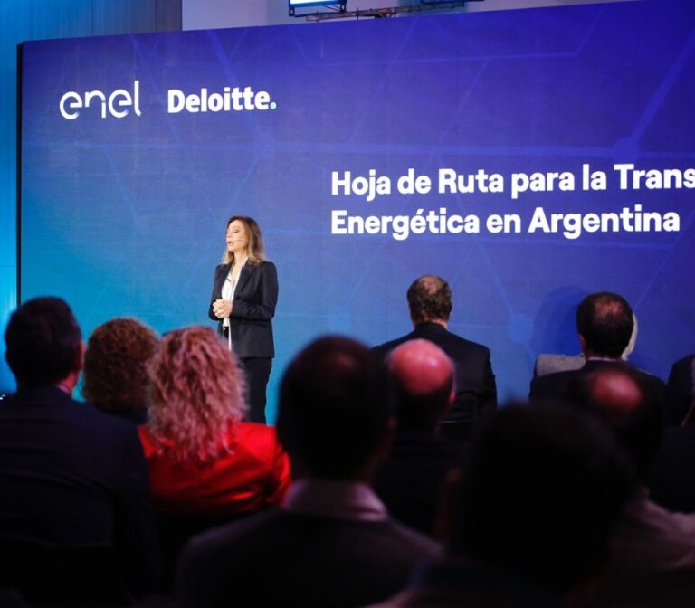 ENEL Argentina presentó su propuesta para avanzar en la transición energética en el país