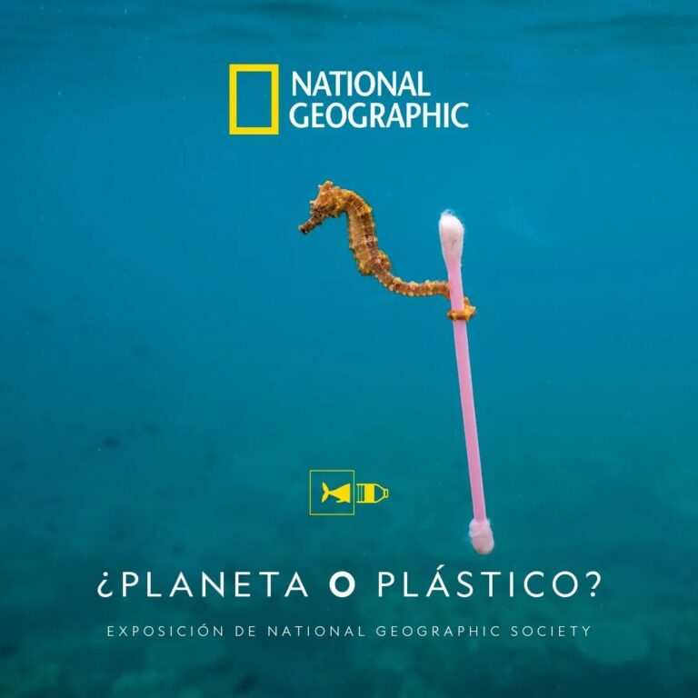 Garnier Green Beauty se une a la Exhibición ¿Planeta o Plástico? de National Geographic