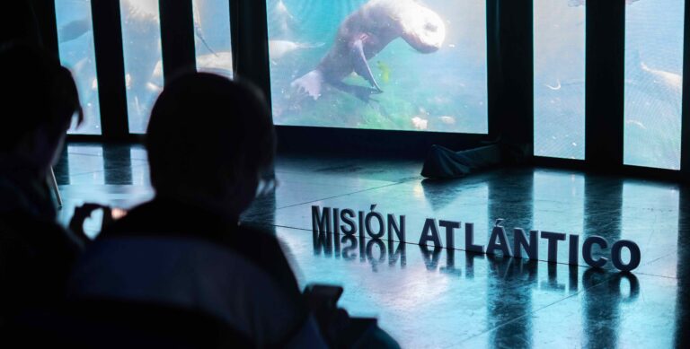 Congreso Misión Atlántico: un paso hacia la conservación del Mar Argentino