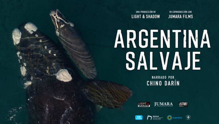 “Argentina Salvaje”, la primera película argentina de naturaleza y vida salvaje