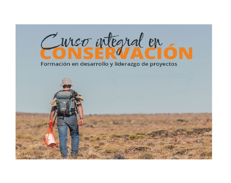 Convocatoria al Curso Integral en Conservación 2023-2024