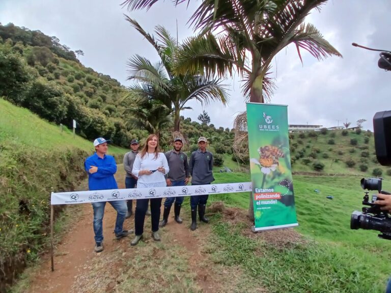 Más de un millón de abejas son protegidas en América Latina en favor del medio ambiente