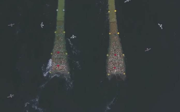 La pesca de arrastre libera millones de toneladas de dióxido de carbono al año