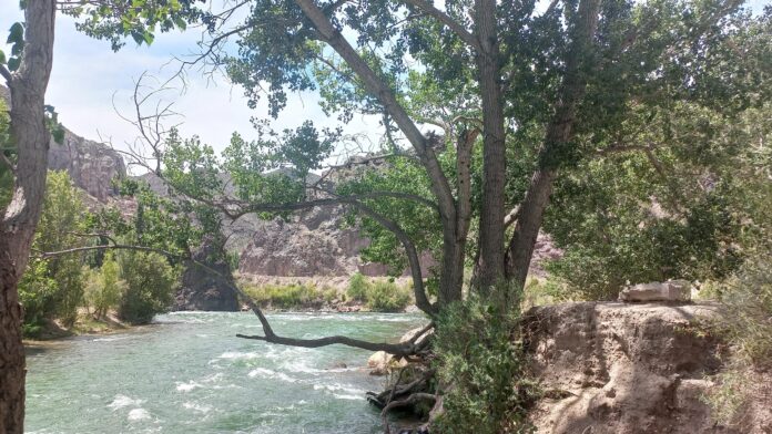 Preocupación de organizaciones de la sociedad civil por los posibles retrocesos en la legislación ambiental