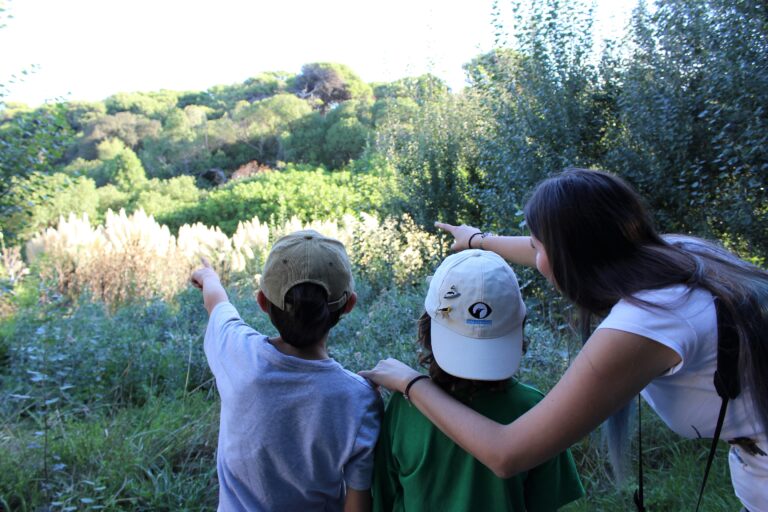 Lanzan una app que permite identificar todas las aves de Argentina