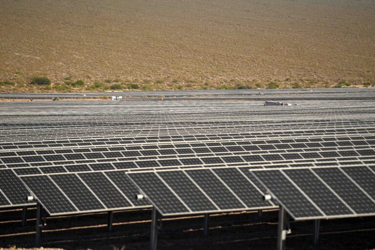 Plaza Logística elige a Genneia para compensar su huella de carbono