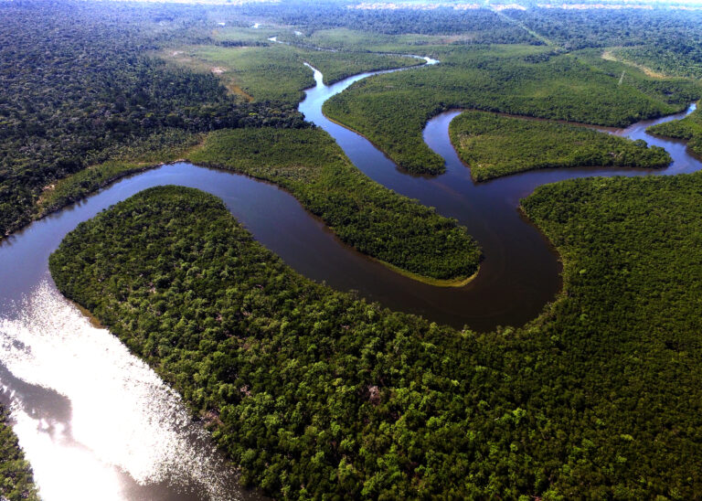 Natura evoluciona su modelo de negocios, procesos y cadenas de valor hacia la regeneración social y ambiental