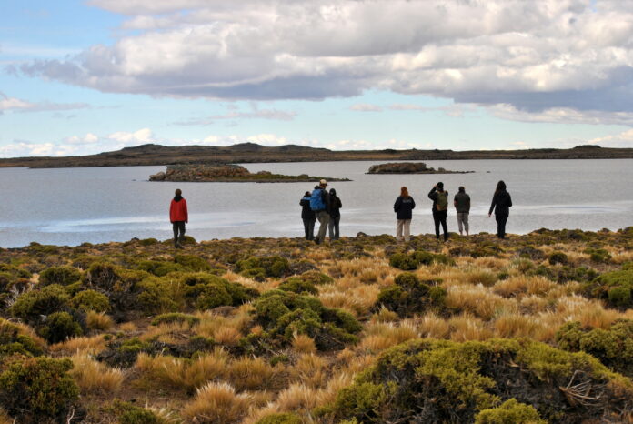 Aves Argentinas abre la convocatoria al voluntariado del Programa Patagonia