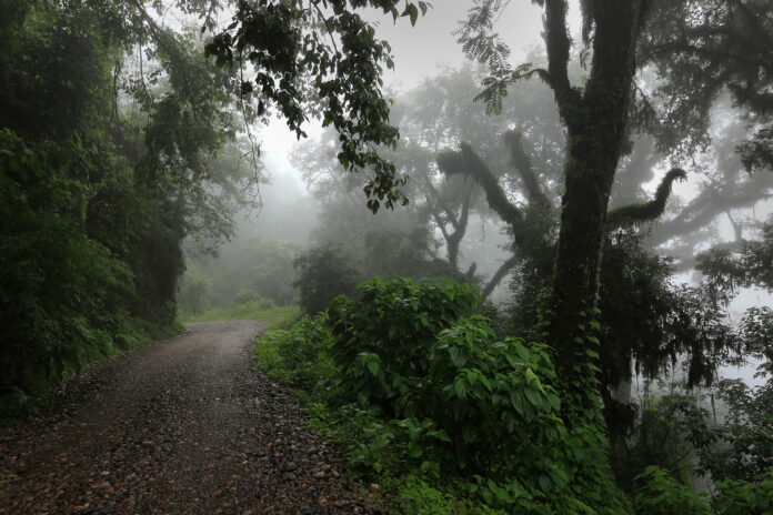 Ledesma expuso su caso en la COP16