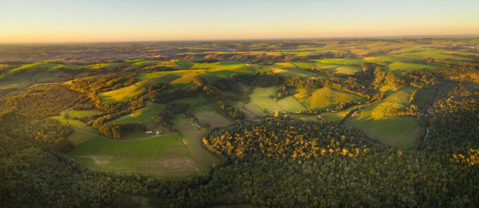 Grupo Galicia cumple su objetivo de ser carbono neutral