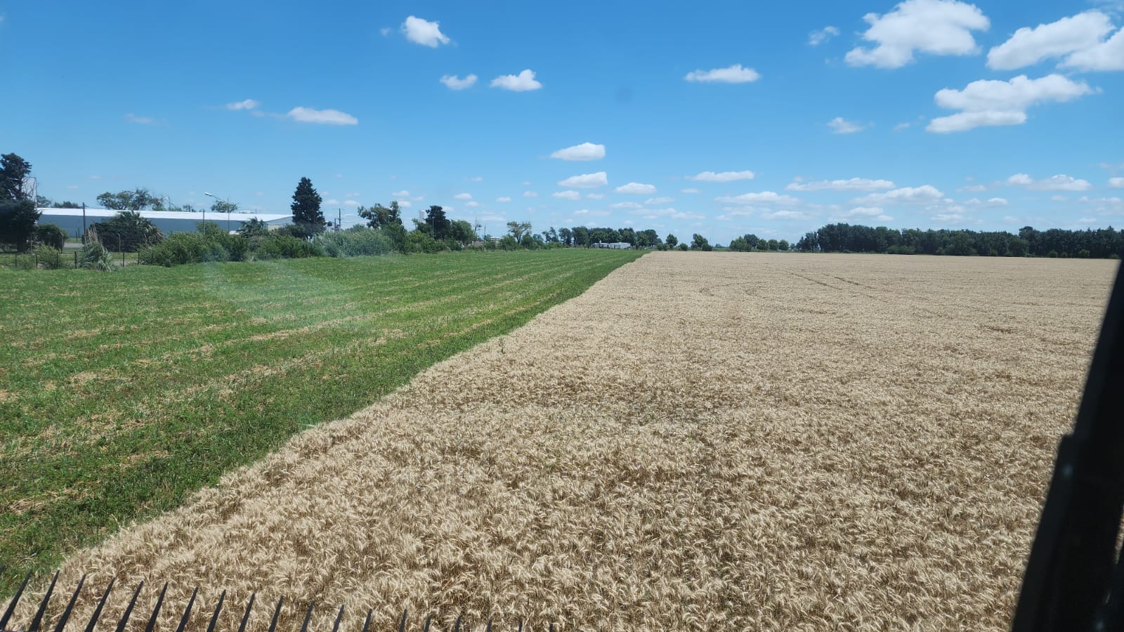 Syngenta AGD corredor biologico (2) (1)