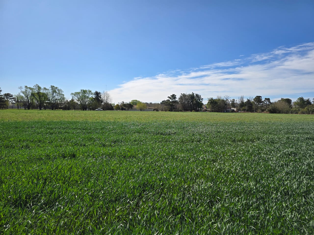 Syngenta AGD corredor biologico (1) (1)