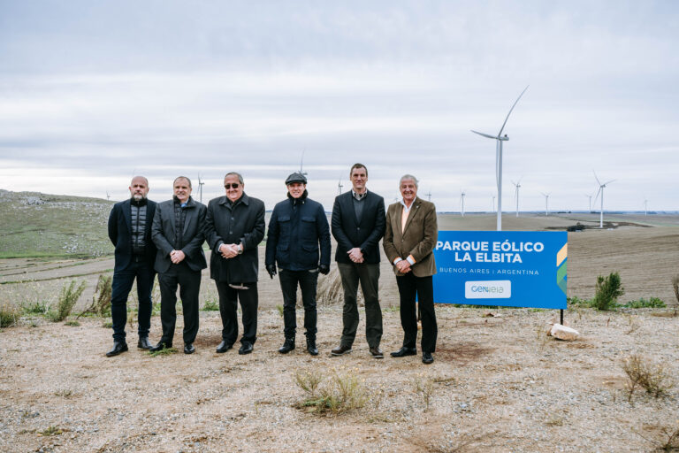Nuevo parque eólico en Tandil aportará energía limpia para 175.000 hogares