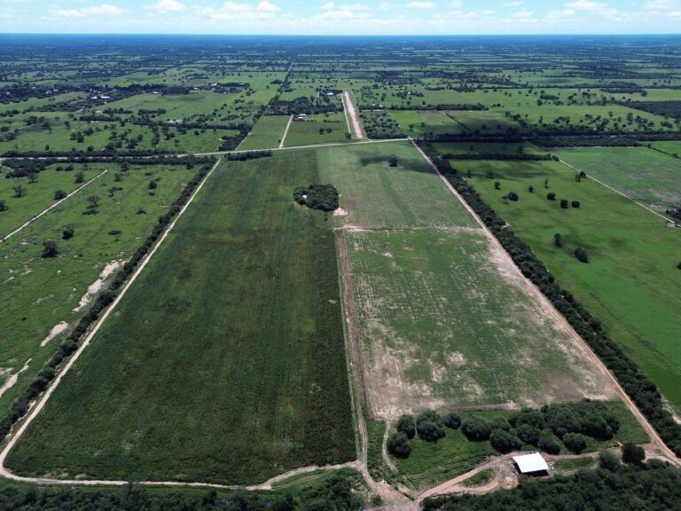 REVERTE® llega a Paraguay para regenerar suelos y transformar la producción agropecuaria