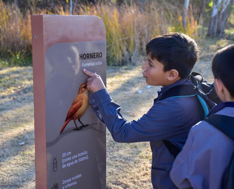 La educación ambiental como eje para transformar el presente y construir futuro